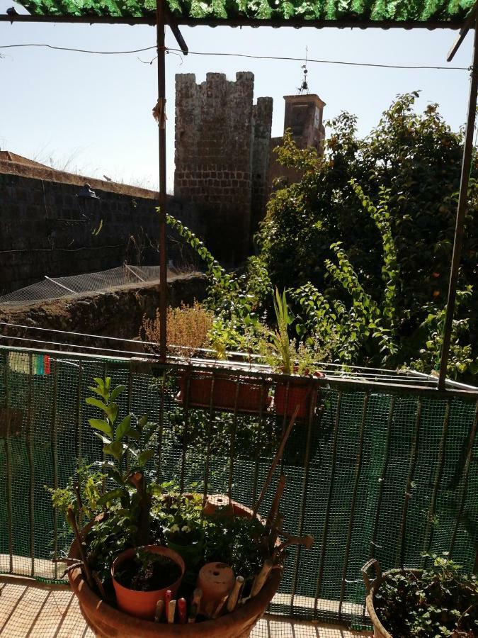 Relax Dal Caos Di Citta Leilighet Barbarano Romano Eksteriør bilde