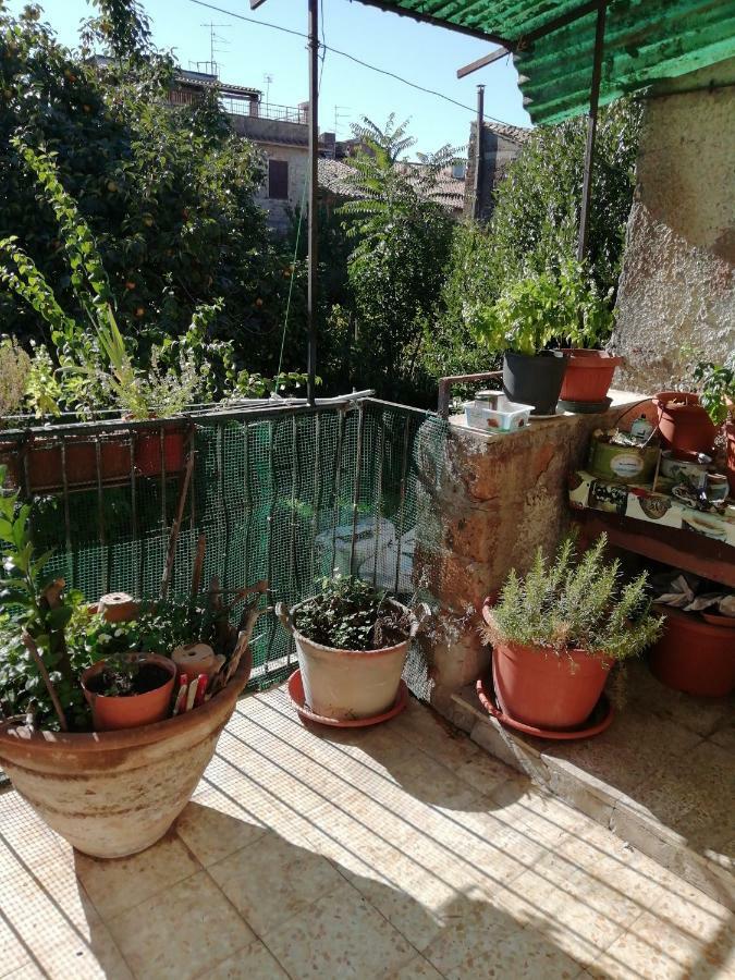 Relax Dal Caos Di Citta Leilighet Barbarano Romano Eksteriør bilde